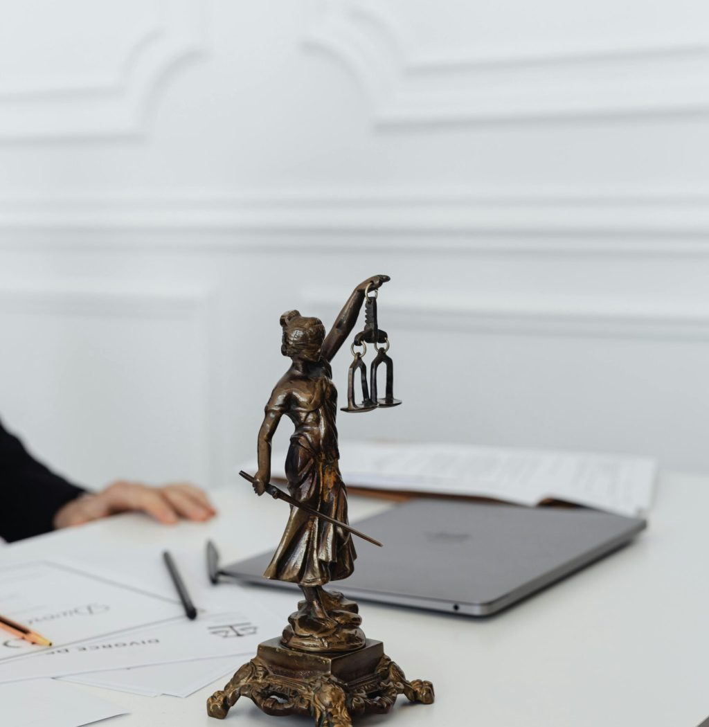 pexels-karolina-grabowska-7876087